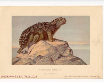 1902 Hylaeosaurus:  Forest lizard- Vintage print from Tiere der Urwelt (Creatures of the Primitive World)