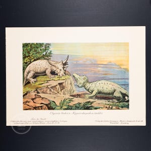 1911 ELGINIA/HYPERODAPEDON, Reptiles del Triásico - Original de Tiere der Urwelt - (Criaturas del Mundo Primitivo - Serie 2)
