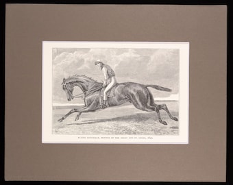 Grabado antiguo de un caballo del Holandés Errante de 1886, ganador del Derby (montado)