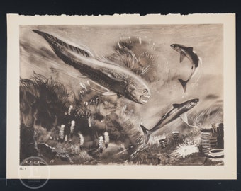 Dinichthys and Cladoselache sea animals - Original Vintage lithograph print of extinct Prehistoric Animals 1960