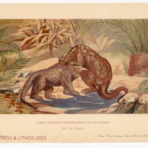1902 Fight between Great Lizard and Iguanadon  -Vintage print from Tiere der Urwelt (Creatures of the Primitive World)