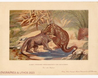 1902 Fight between Great Lizard and Iguanadon  -Vintage print from Tiere der Urwelt (Creatures of the Primitive World)