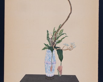 Nepenthes Hookerina, Fern and a Dead Tree Branch  - Selected Arrangements of Moribana and Heikwa - Vintage lithography print from 1936