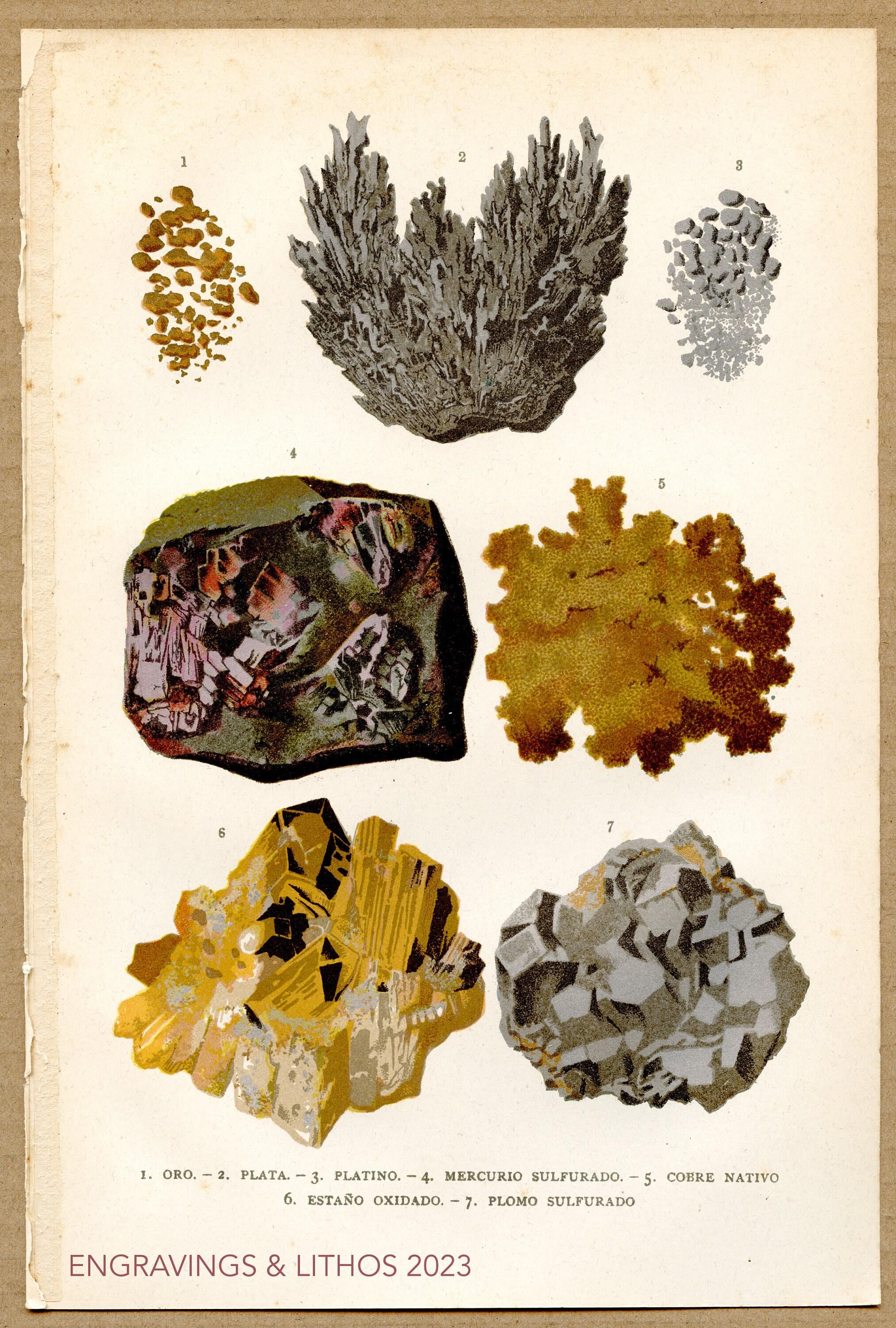1891 Gold, Silver, Platinum, Mercury, Copper, Lead, Tin - Original