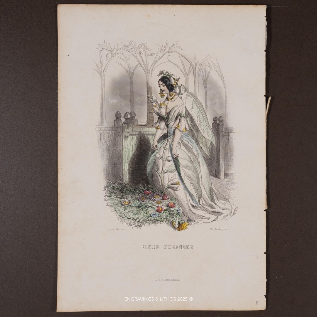 1867 Orange Blossom – Hand-colored Plate From 