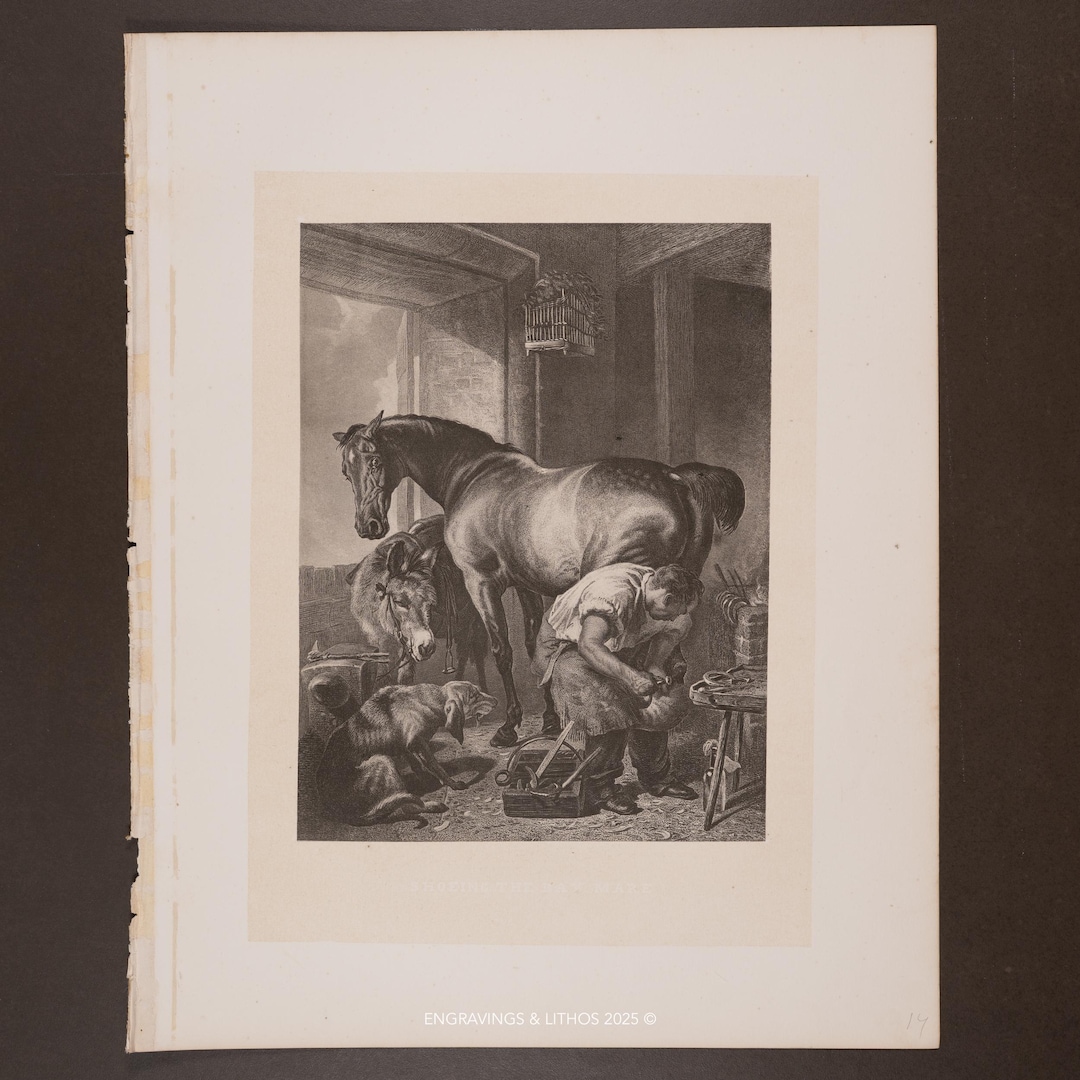 Heliotype Examples 1876 – Shoeing the Horse – Antique Heliotype Print After Landseer - Etsy