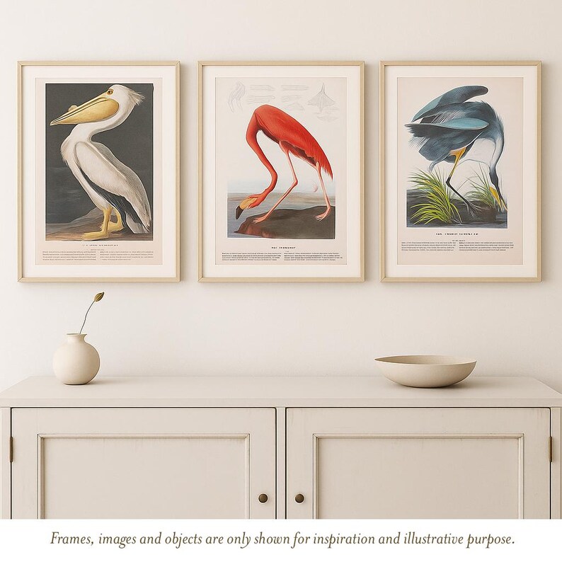 three framed artworks depicting different bird species, including a pelican, a flamingo, and a blue heron, displayed on a white wall above a white cabinet.