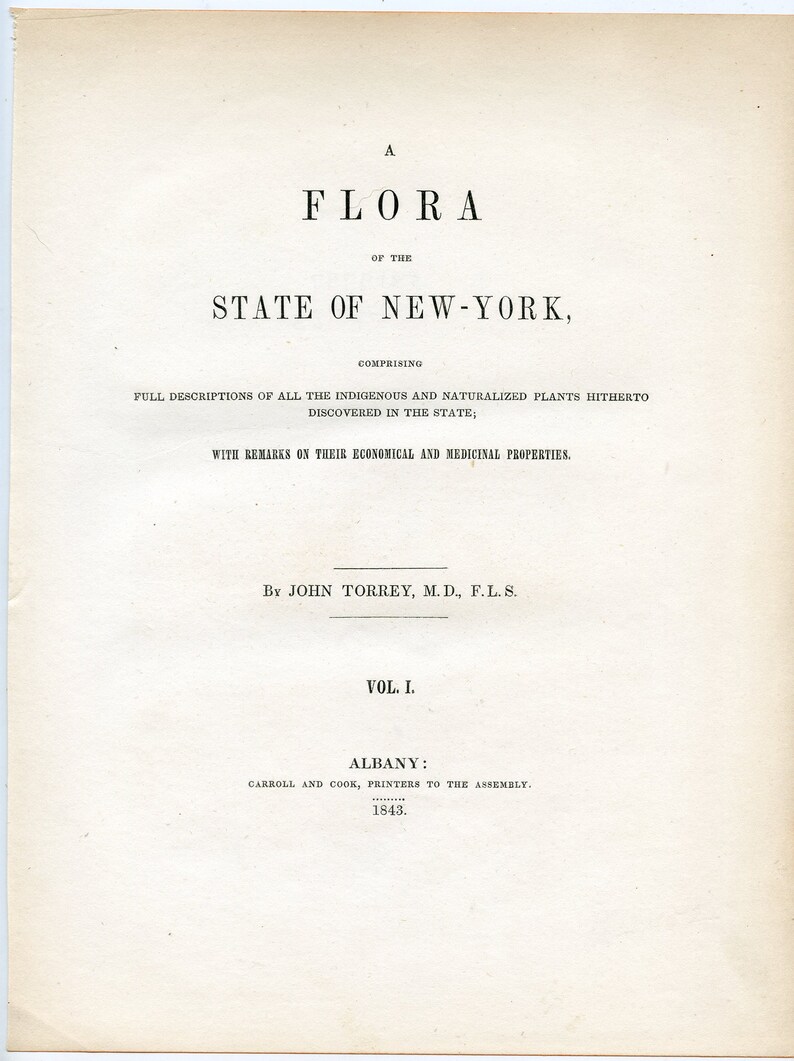 ORIGINAL PRINT out of the book A Flora of the State of New York 1843 Fly Honeysuckle botanical