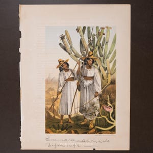 May include: An antique print depicting two figures in white clothing and straw hats, holding long sticks, set against a desert landscape with cacti. The print has the text "Lemonade, mother made" and other handwritten text.