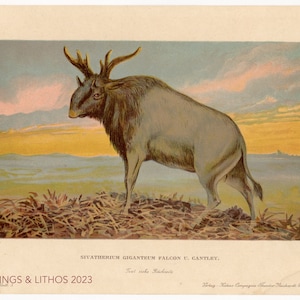 1902 Extinct giant Giraffid - Vintage print from Tiere der Urwelt (Creatures of the Primitive World)