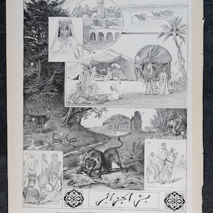 Carte de l'Algérie et de la Tunisie / Femmes indigènes algériennes, mosquée, caravane de « Le Noveau Larousse Illustré Edition » - Impression recto-verso