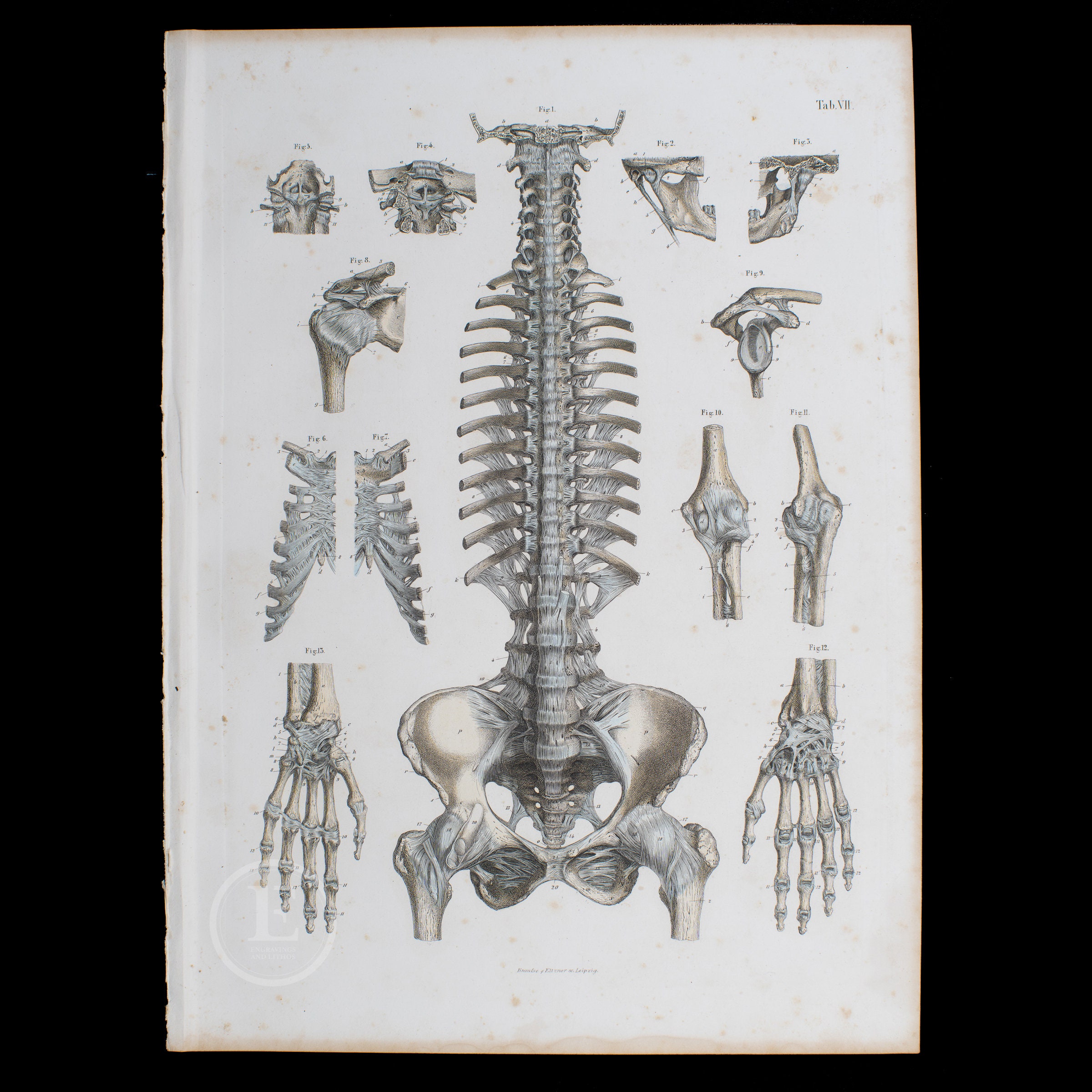 Oh Well - Single - album by Snøw, image size:2400x2400