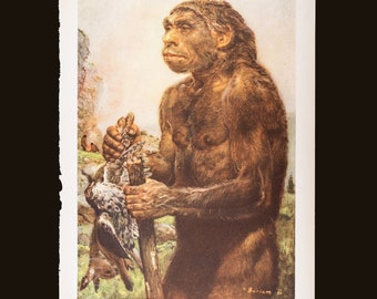 What the NEANDERTHALERS look like  - Original Vintage Lithograph print of Prehistoric Men from 1960 (Over 9x13 inches!)