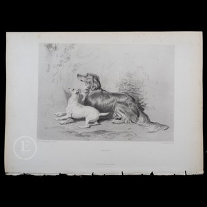 1877 SPANIEL and TERRIER DOGS / Safe - Original Steel Engraving by Sir Edwin Landseer - London / Stunning piece!