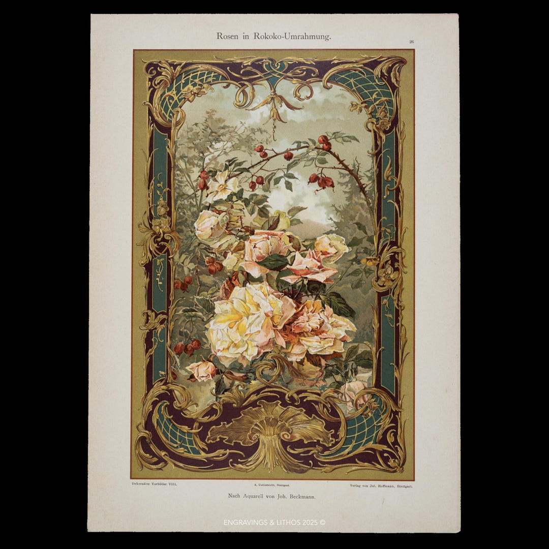 Rococco Roses 1898 ROSES in ROCOCO FRAME – Ornamental Lithograph From Dekorative ...