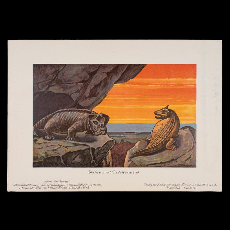 1902 DICYNODONT and SCLEROSAURUS, Extinct Reptiles - Vintage Print From ...