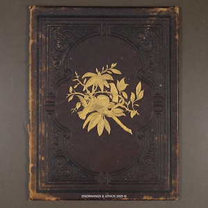 May include: A rectangular dark brown book cover with embossed decorative borders and a central gold-colored illustration of a bird perched on a branch near a nest. The text "ENGRAVINGS & LITHOS 2025" is printed in small white letters at the bottom edge.