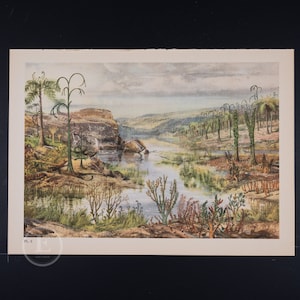 May include: A vintage illustration depicting a prehistoric landscape with a river, rocky cliffs, and various types of prehistoric plants. The scene is dominated by a large, fern-like plant in the foreground, with smaller plants and trees scattered throughout the landscape.