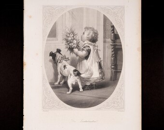 ca1850 The Little Well-Wisher - Original Steel Engraving from Payne’s Universum