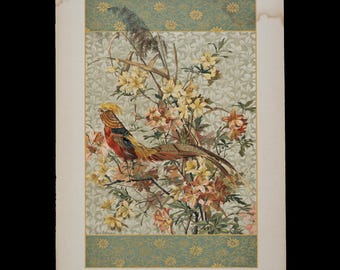 Reserviert x Kate - 1893 GOLDFASAN - Dekorative Vogel Tafel Lithographie - Dekorativer Vorbilder