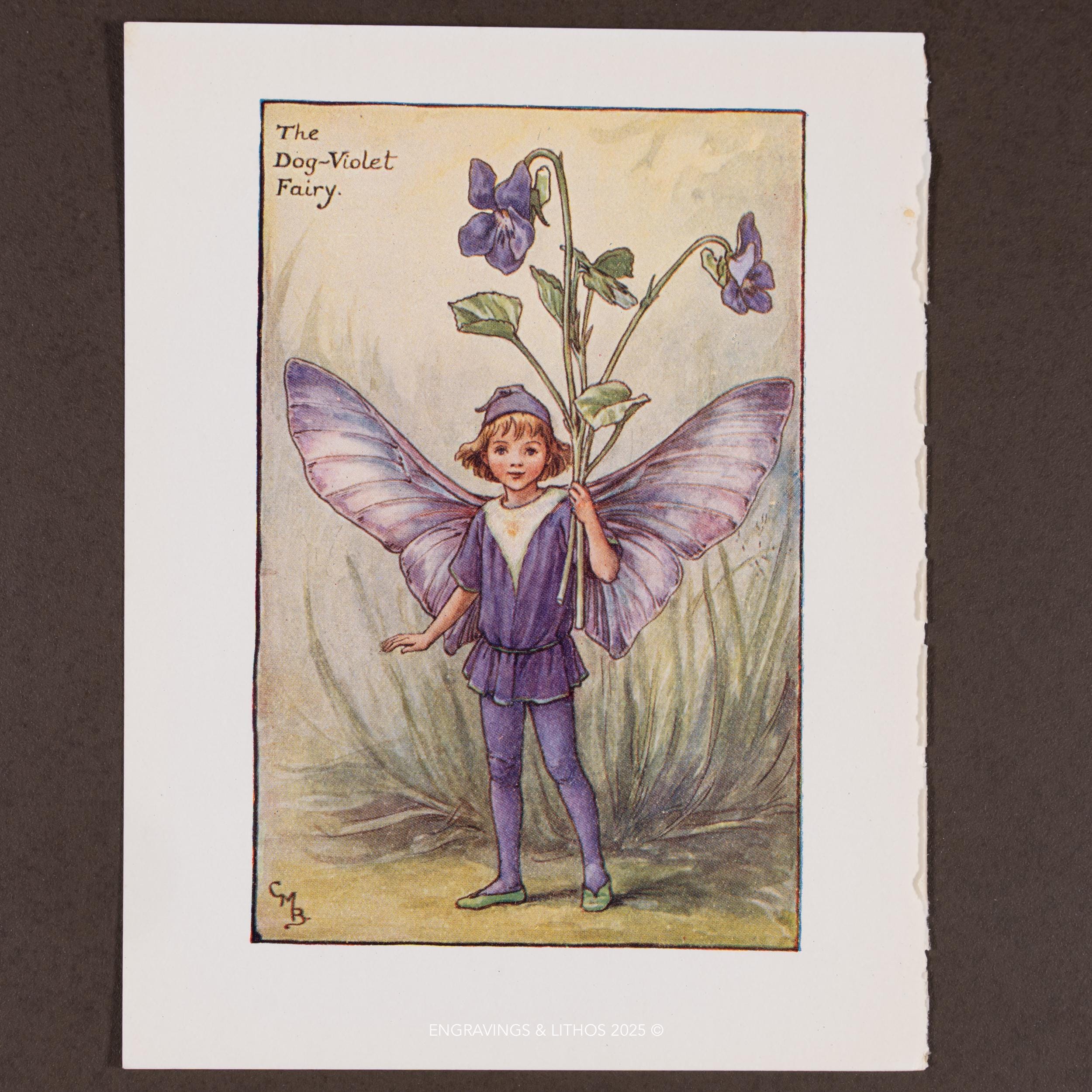 超レア洋書 #4 1810-1850. Schellings Werke. 1940 the Dog-violet Fairy – 1940 Lithograph by Cicely Mary Barker
