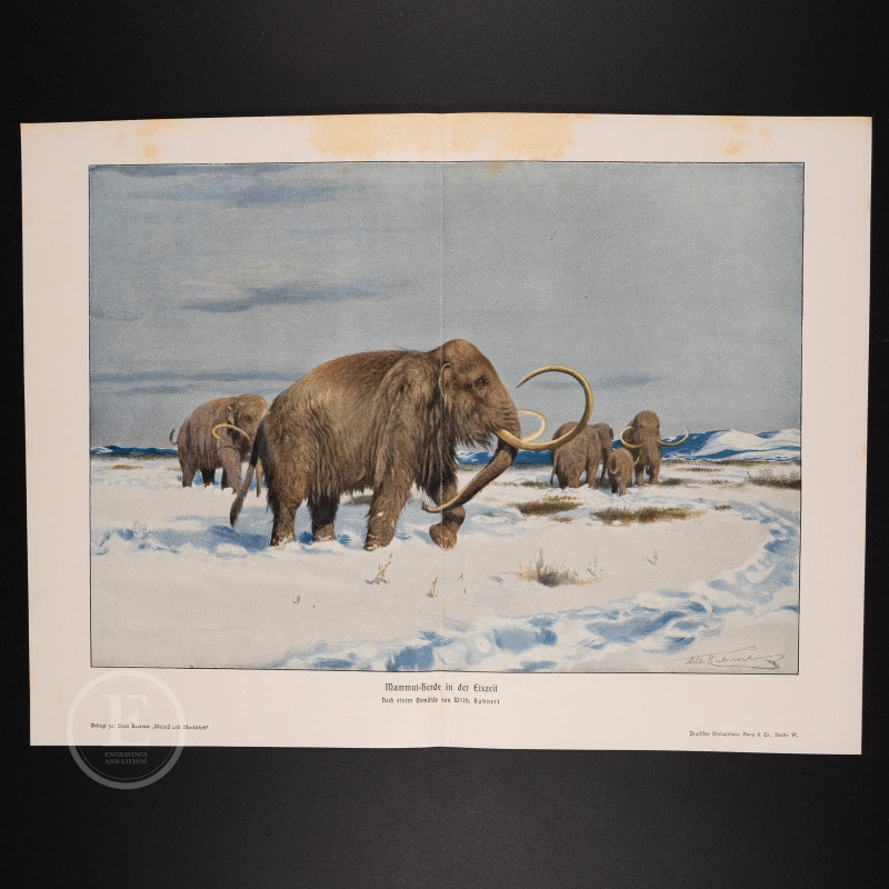 Woolly Mammoth - Etsy