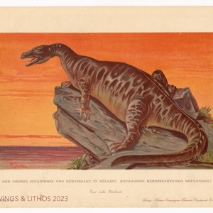 May include: An illustration of a large, brown and black dinosaur, called an Iguanodon, standing on a rock formation. The dinosaur is facing the left side of the image. The background is a sunset with a pink and orange sky and a dark blue ocean.