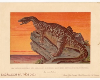 1902 Iguanodon: A big iguana-tooth found in Belgium- Vintage print from Tiere der Urwelt (Creatures of the Primitive World)