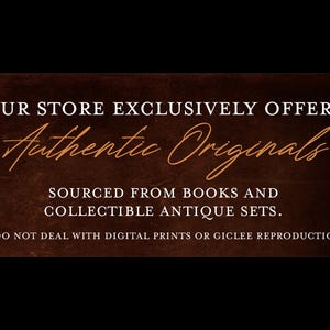 Leg Bones: Tibia / Fibula /human Anatomy - Descriptive Anatomy Book ...