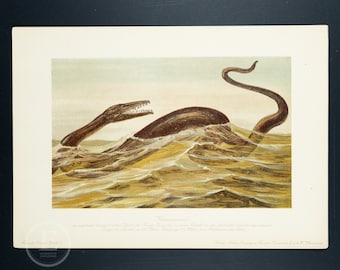 Mosasaurus: Aquatic reptiles  - Authentic chromolithograph from Tiere der Urwelt (Creatures of the Primitive World)  1902