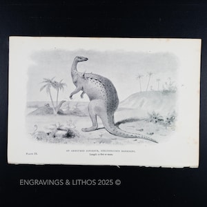 DINOSAURIO ACORAZADO DE 1897 (scelidosaurus harrisoni): Impresión original de Monstruos Extintos ilustrada por J. Smit