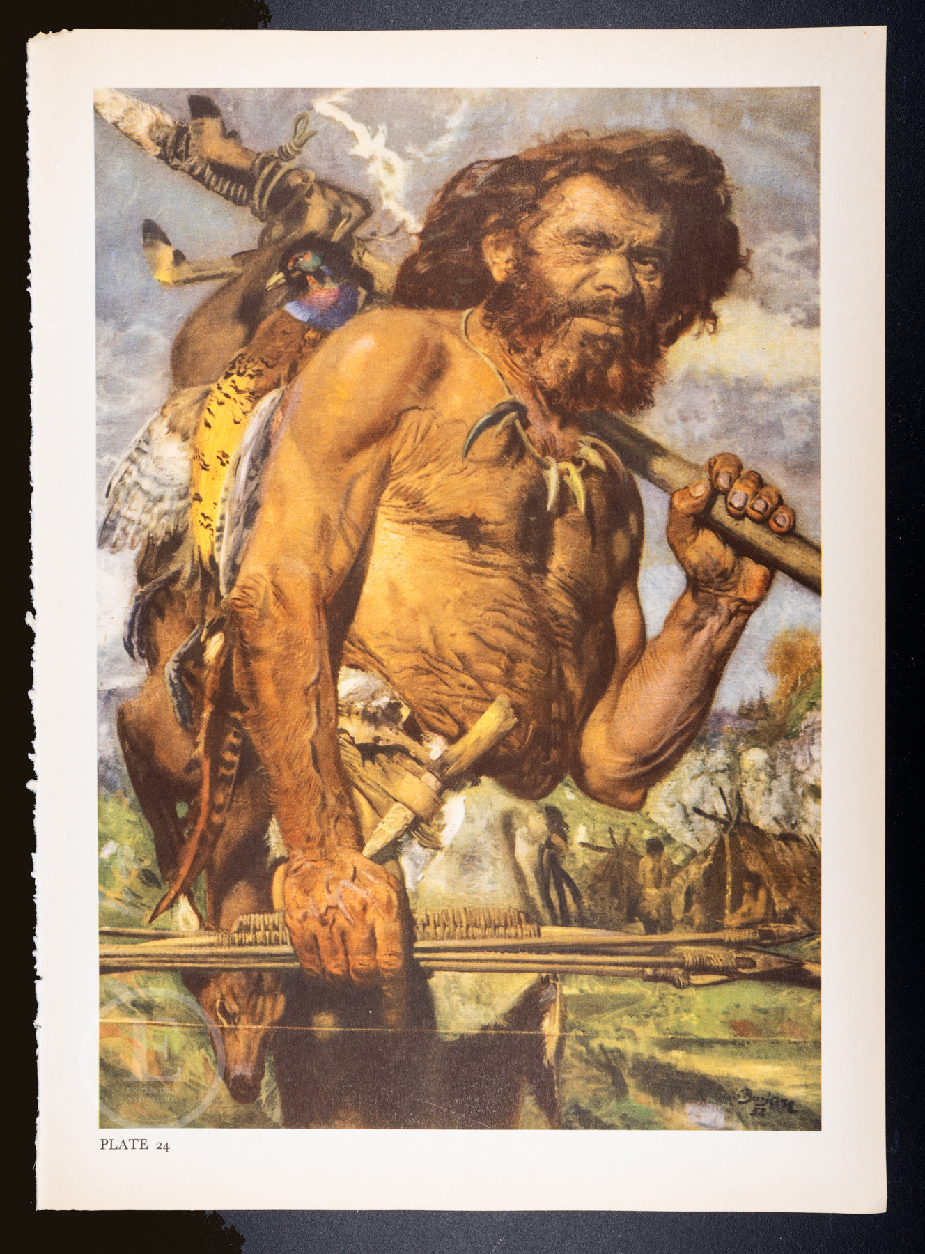 Cro Magnon Men Cro Magnon Hunting