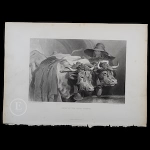 1877  OXEN at the TANK: GENEVA - Original Steel Engraving by Sir Edwin Landseer - London / Stunning piece!