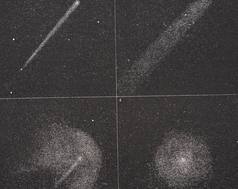 Halley's Comet, according to J. Herschel - Exquisite Plate - RARE ORIGINAL PRINT from a French Astrronomy Book 1877