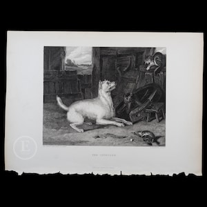 1877 El intruso: perro, gato y ratonera. Grabado en acero original de Sir Edwin Landseer - Londres. ¡Una pieza impresionante!