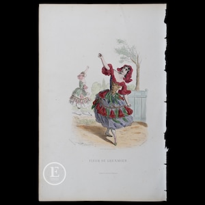 1867 THE POMEGRANATE FLOWER – La Fleur de Grenadier / Hand-colored plate from &quot;Les Fleurs Animees by J.J.Grandville - Flowers Wall Decor!