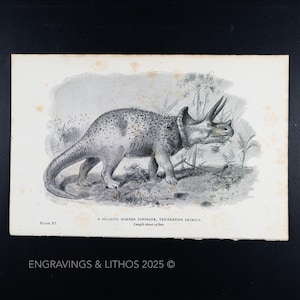 1897 DINOSAURIO CON CUERNOS GIGANTESCO (Triceratops prorsus) – Impresión original de Monstruos Extintos ilustrada por J. Smit