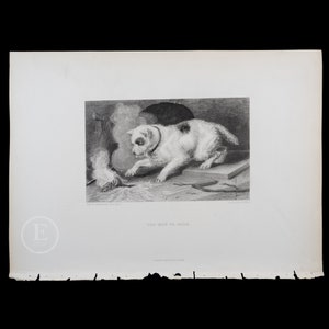 1877  DOG Trying to Eat a Hot Piece of Meat / Too hot to hold - Original Steel Engraving by Sir Edwin Landseer - London / Stunning piece!