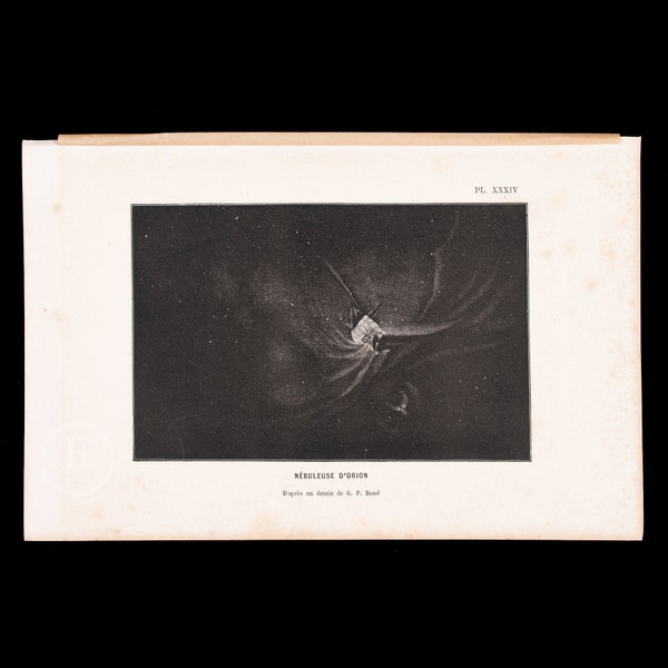 Orion Nebula, according to G. P. Bond  - Exquisite Plate - RARE ORIGINAL PRINT from a french astronomy book 1877