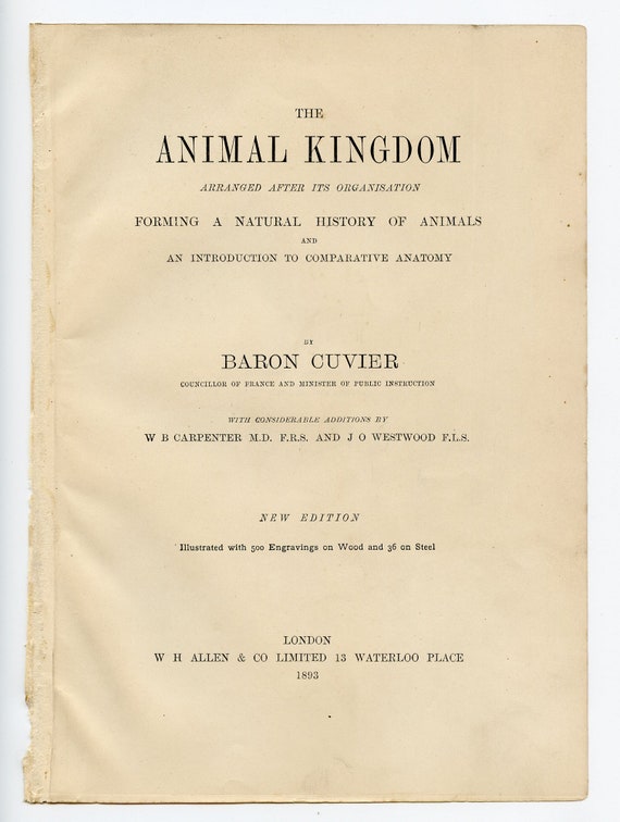 Reptile / Snakes and Crocodile - Exquisite Plate - RARE