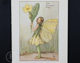 1940 The Primrose Fairy – 1940 Lithograph by Cicely Mary Barker