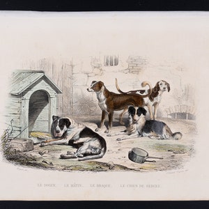 Könnte beinhalten: Eine Vintage-Illustration von vier Hunden in einem Hof. Die Hunde sind ein Mastiff, ein Greyhound, ein Pointer und ein Schäferhund. Die Hunde sind alle in verschiedenen Posen, einige liegen, einige stehen und einige schauen den Betrachter an. Die Illustration ist in Schwarzweiß mit etwas Farbe hinzugefügt. Der Text am unteren Rand des Bildes lautet "Le Dogue, Le Matin, Le Braque, Le Chien de Berger."