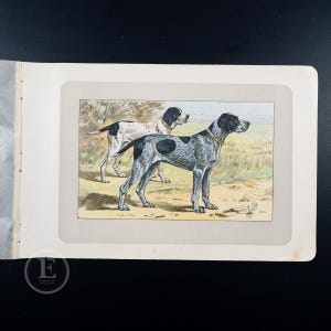 May include: An antique print featuring two Pointer dogs in a field. The dogs are depicted in a realistic style, with one having a blue-grey coat with black spots and the other a white coat with black spots. The print is framed.