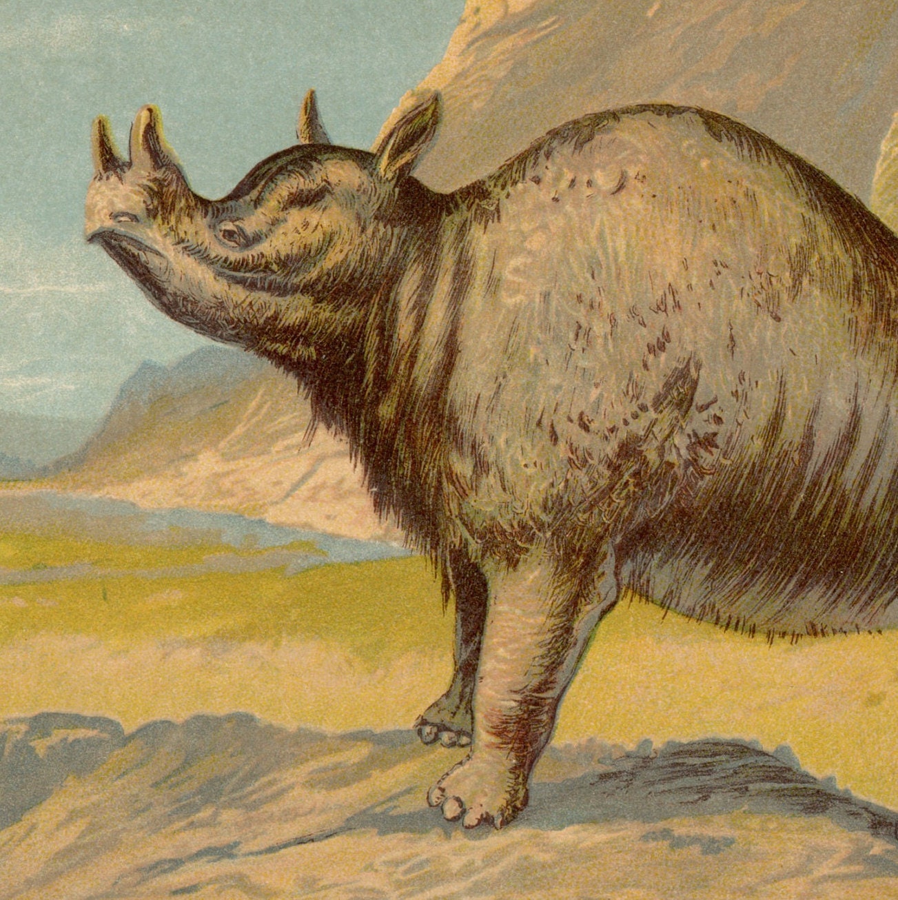 1902 Brontops Robustus - Vintage Print From Tiere Der Urwelt (creatures ...