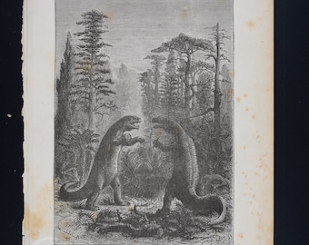 Iguanodon and Megalosaurus in a Forest in the Jurassic Era - Very rare color lithograph &#39;La Creation de l&#39;Homme&#39; by Camille Flammarion 1886