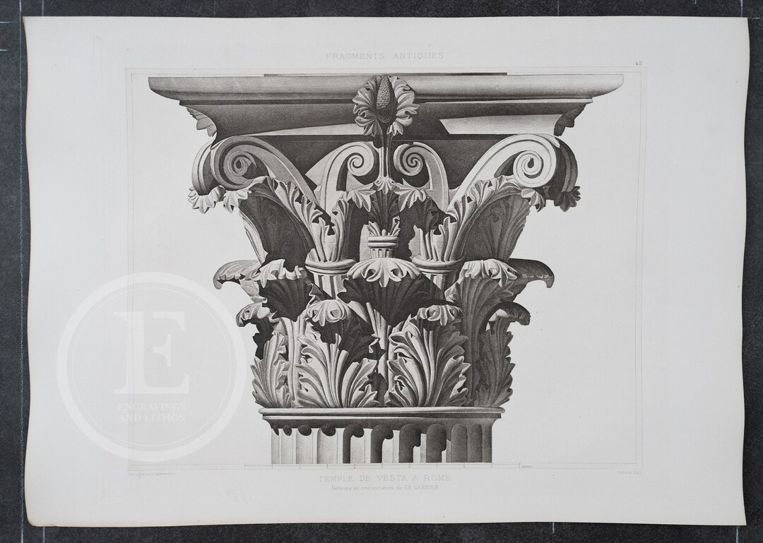 Capitol Column Detail Temple of Jupiter Stator Jupiter the Etsy