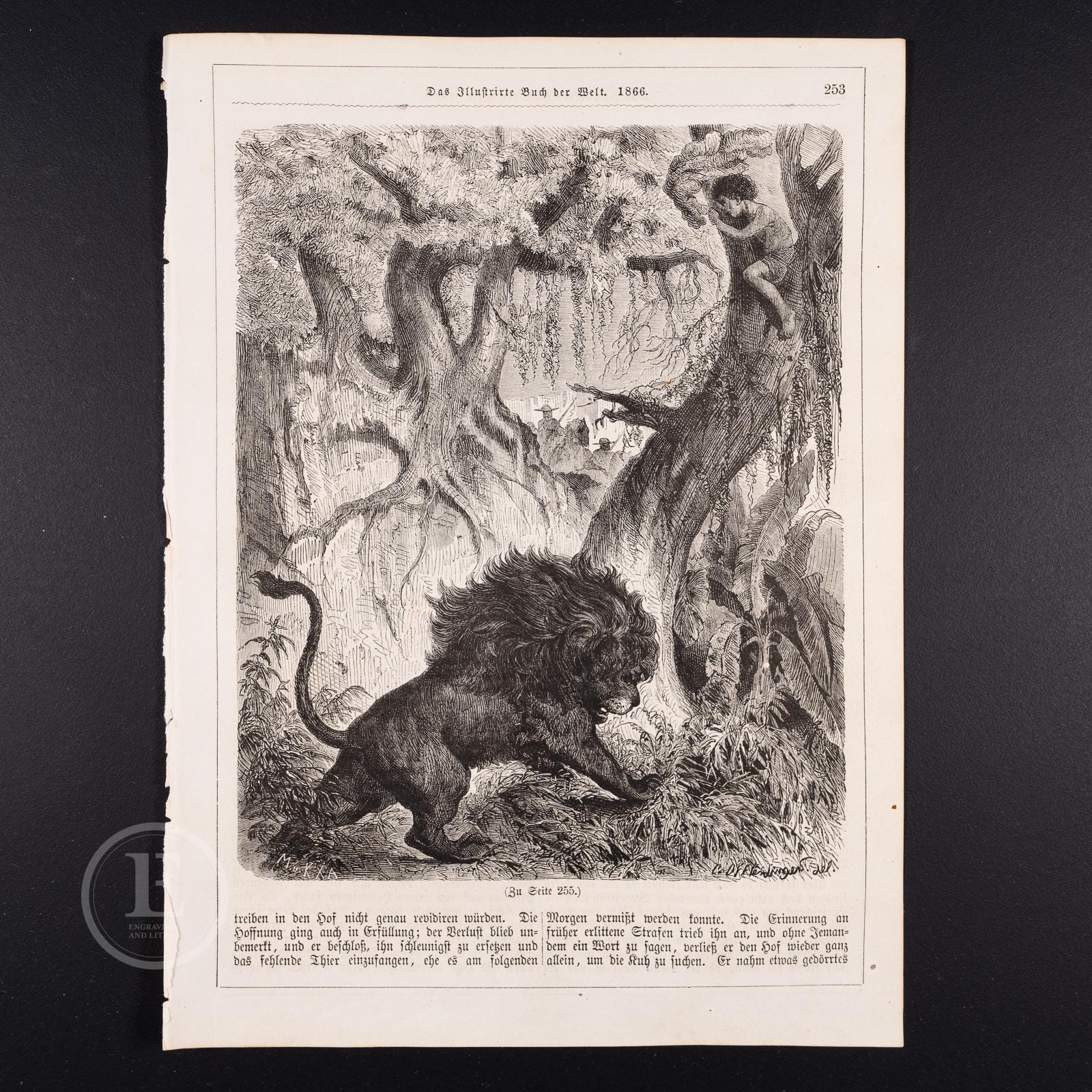 1866  Lion Chasing a Defenseless Boy  -Very rare plate from "Book of the World"- black and white woodcut, Old Original Print