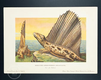 1902 LOBE-FINNED FISH, from the Devonian Period - Vintage print from Tiere der Urwelt (Creatures of the Primitive World)