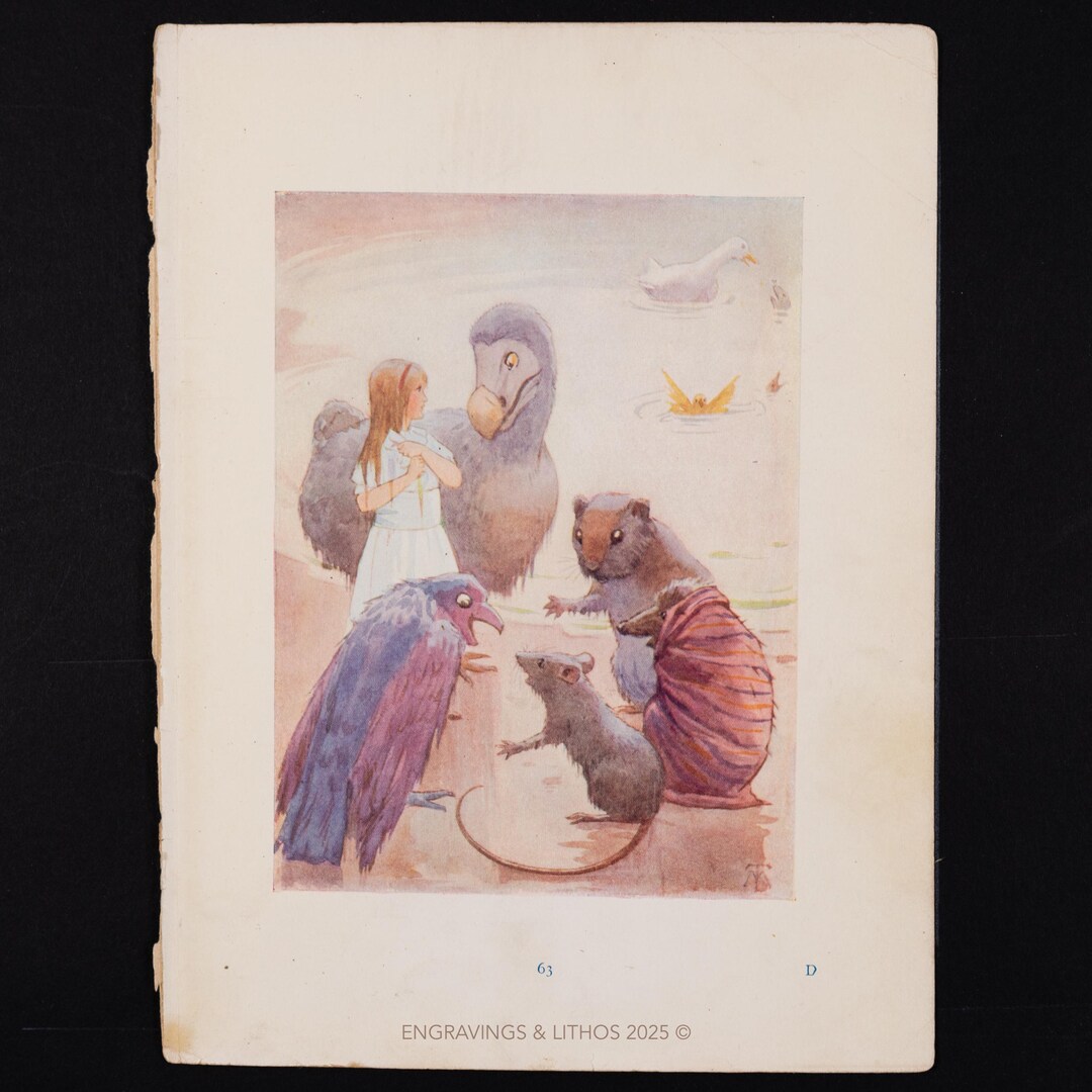 1916 ALICE With the DODO & FRIENDS – Vintage Illustration From Alice’s ...