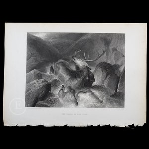 1877  The DEATH of the STAG - Original Steel Engraving by Sir Edwin Landseer - London / Stunning piece!